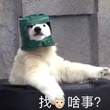 表情包可爱搞笑沙雕