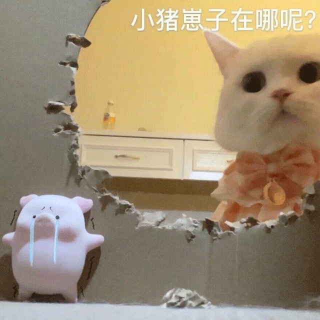 沙雕搞笑可爱头像表情包