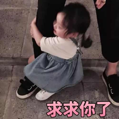表情包头像泡仔必备,圣诞节脱单就靠这套了