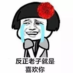 反正老子就是喜欢你