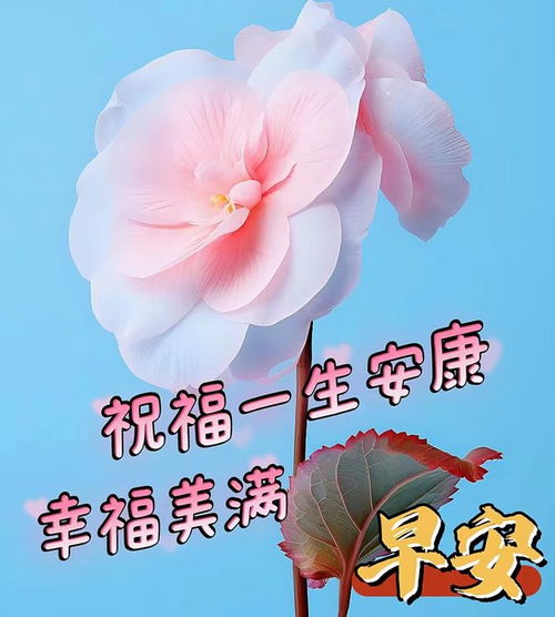 8月31日最漂亮早上好表情图片大全带祝福语