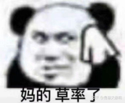 晚安读书人沙雕可爱表情包