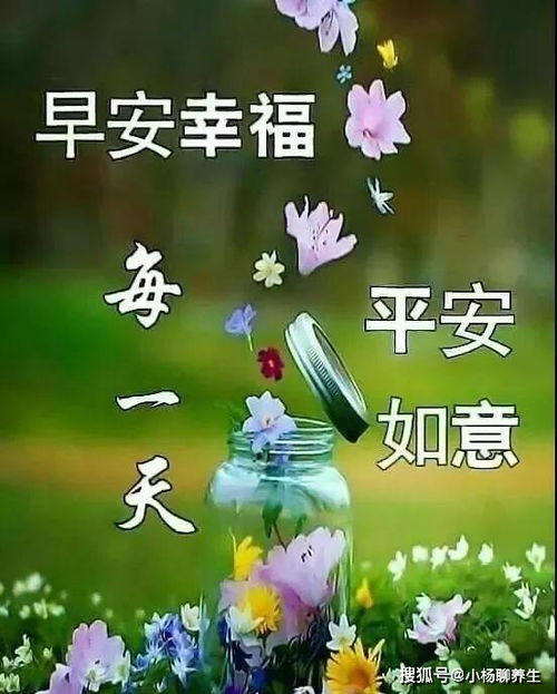 唯美的清晨祝福图片表情,周二早上好问候语温馨句子