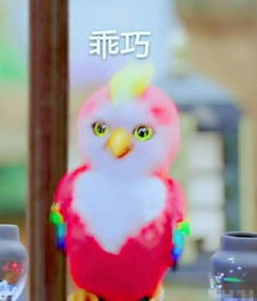 赵丽颖送谢娜的苍梧鸟多少钱哪里可以买