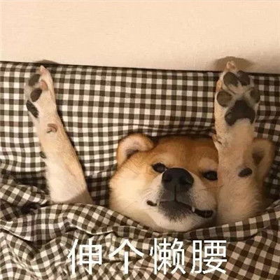 2021天冷不想起床的表情包过段时间就要遭受到被窝的绑架了