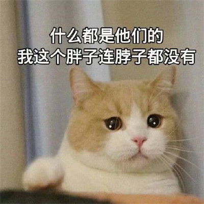 长胖的表情包可爱抖音长胖表情包搞笑图片