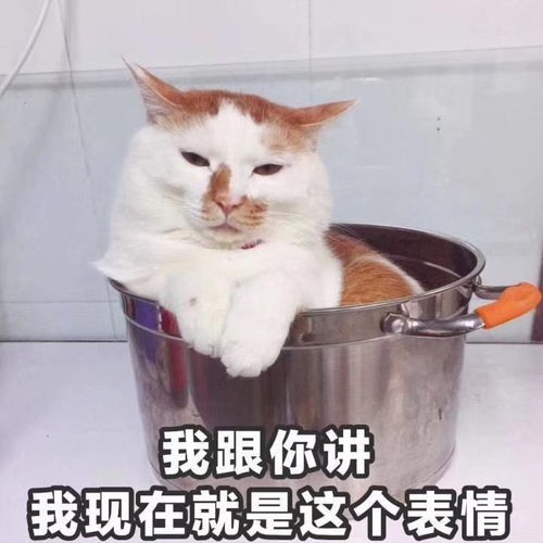 沙雕表情包l是我食堂干饭王