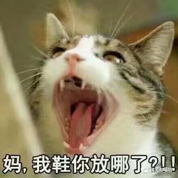 放假了,万万没想到,原来在家的你是这么逗