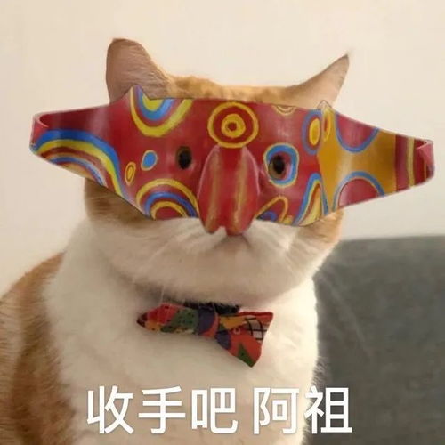 好笑吗一天到晚哈哈哈哈哈丨第207期猫咪表情包