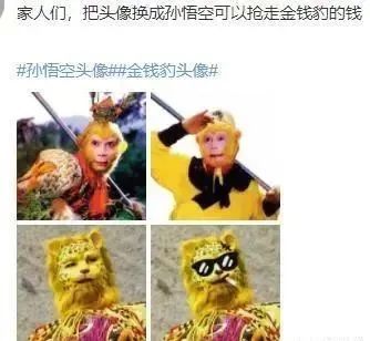 2022年爆火的第一个表情包头像,老虎看了都呲牙