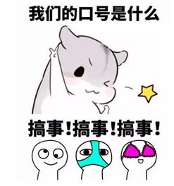 钜惠不留余地12.11金聚店要搞大事情