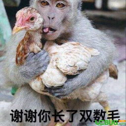 抖音她爱我她不爱我系列表情包套图分享