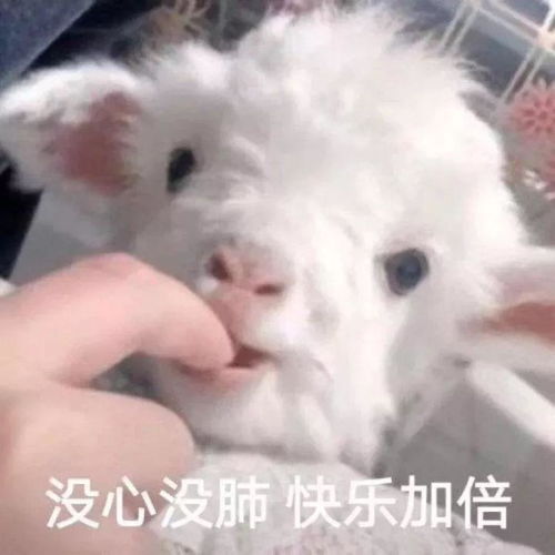 知道女朋友隐瞒的过往,心乱如麻,如何调节