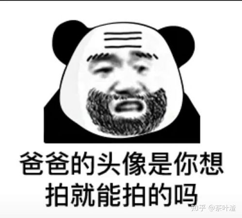沙雕表情包真的爱了