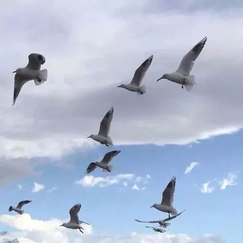 干净治愈风的宝藏文案短句