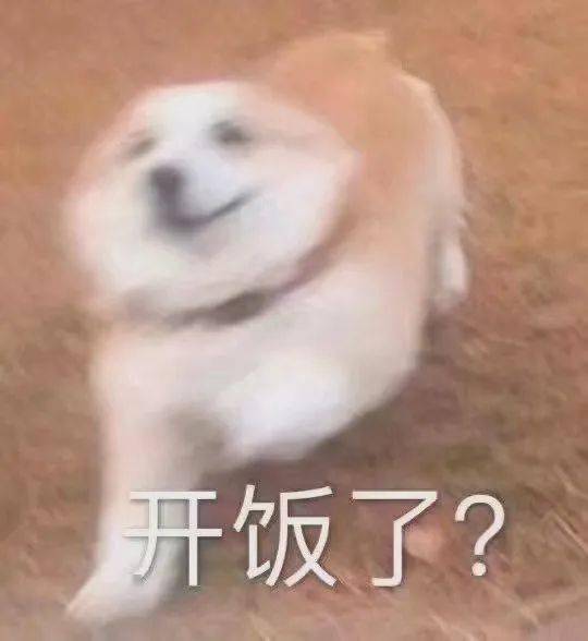 沙雕表情包我看你就是玩不起