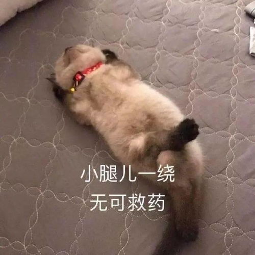 我是钟宅拆迁户,我爸到现在还没签约,非要逼我结婚了再签我该怎么办...