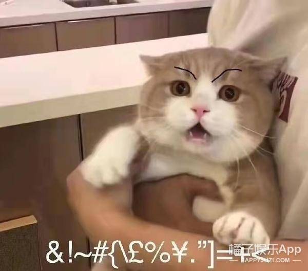 李佳琦转行当搞笑艺人金丝花瓶钱的味道,喜剧人设屹立不倒