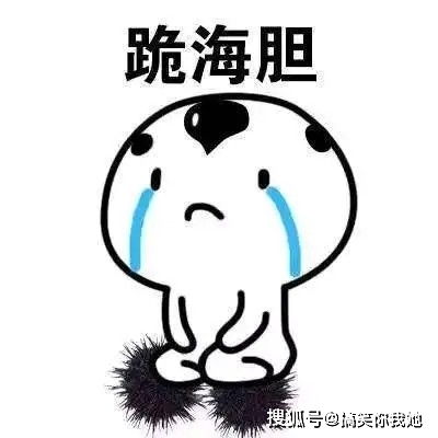 开心一刻笑话老妹突然问我,当初怎么追上如花似玉的嫂子的