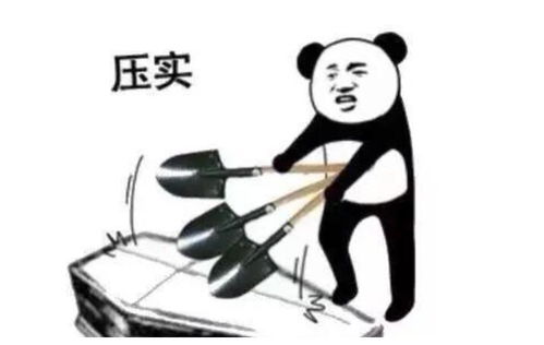爆笑段子家里养了一只荷兰猪,这只猪特别喜欢在家里跑来跑去
