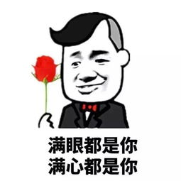 意境美图动物大海搞笑gif暴走漫画堆糖,美好生活研究所