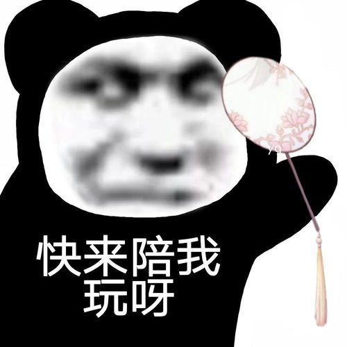 幽默搞笑表情包晚安啦,宝贝