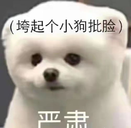 西安市千万读书工程全国征文大赛95赛区征文