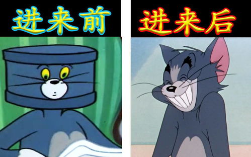 全站最搞笑版本猫和老鼠沙雕广告无人存活