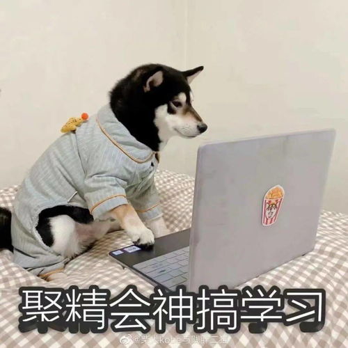 沙雕表情包i有事吗,老阿姨