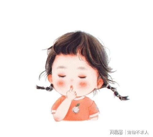 能让人狂赞的搞笑语录,个个奇趣横生