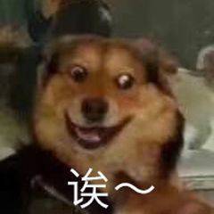 插队婆孙遭网暴被跟踪偷拍,还被恶搞表情包