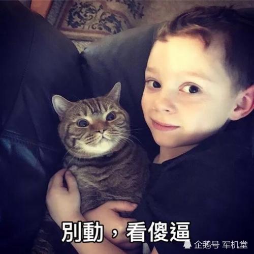 宋民国现状,穿西装还好不像岳云鹏,网友庆幸和假笑男孩不一样