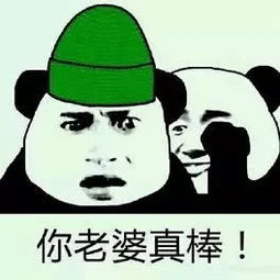 搞笑表情包万物皆可绿,原谅就对了,手动滑稽
