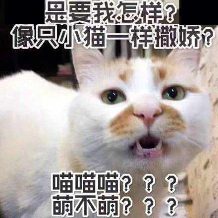沙雕表情包图片搞笑上班