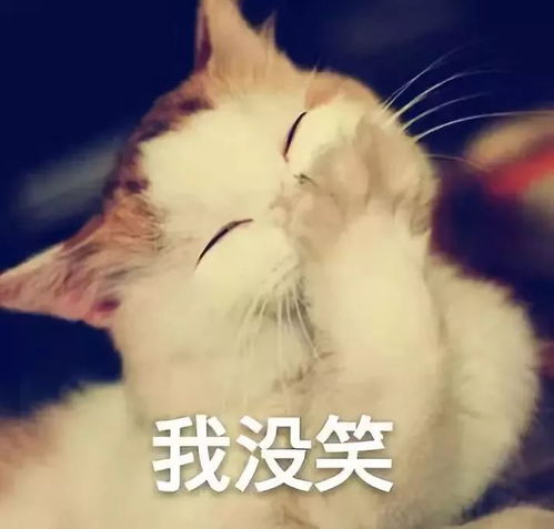 笑话里的极品,开心一刻,笑出眼泪