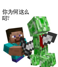 经典系列搞笑斗图,你为何这么叼