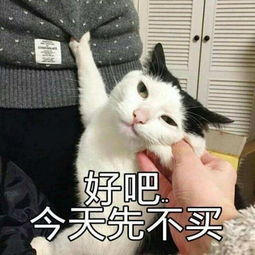 刷屏一整个暑假的综艺要完结惹他们保持幸福感的法宝到底是什么