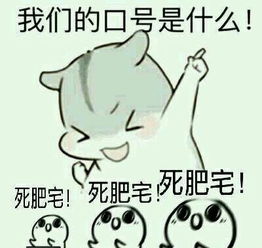 dnf死肥宅无水印表情包感受死肥宅的愤怒吧