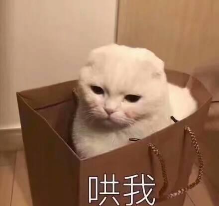 表情包头像可爱搞笑开心一笑