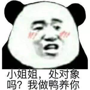 熊猫头表情包