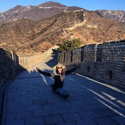 欧美明星来中国以后都做过什么有趣的事情