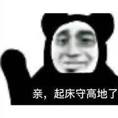 搞笑沙雕熊猫头表情包