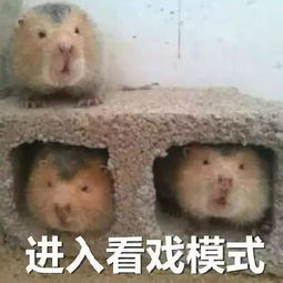 其实,我一直都很喜欢你......