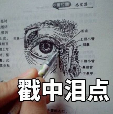 为啥医学生劝人别学医,是怕被抢饭碗吗,医学生我是为你好