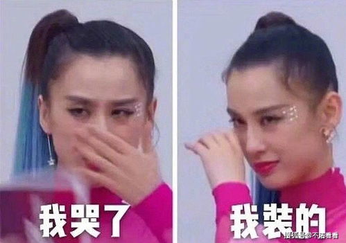 浪姐七款表情包,黄圣依社会人站姿,沈梦辰还原经典表情