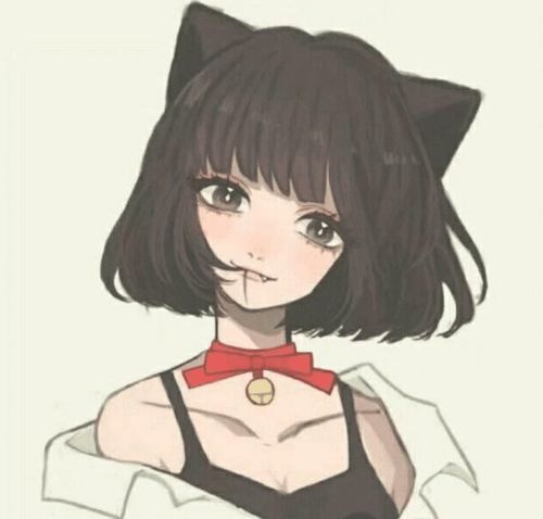 你知道有哪些跟猫有关的节日吗