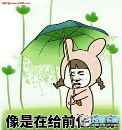 单身太久会被杀掉的表情下载单身太久恶搞表情包高清无水印下载飞翔下载