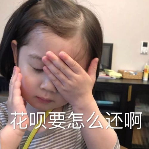新年花呗轻松还认清不良校园贷新马甲