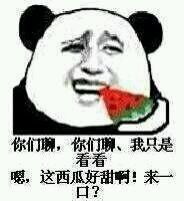 用放进和包上和装进组成一个词语