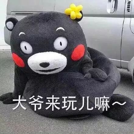 这是一条可爱搞怪的表情包合集